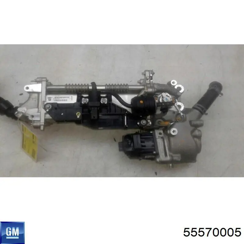 55570005 General Motors Zawór recyrkulacji spalin EGR