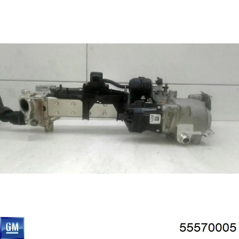 Zawór recyrkulacji spalin EGR General Motors 55570005 cena, od 117,35 USD