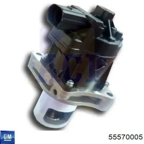 55570005 General Motors Zawór recyrkulacji spalin EGR