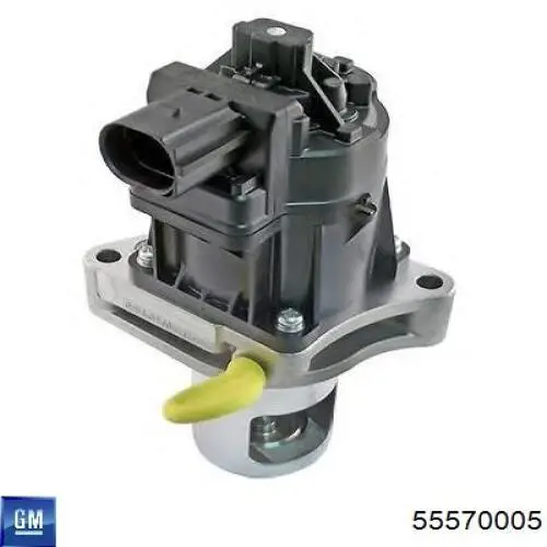 55570005 General Motors Zawór recyrkulacji spalin EGR