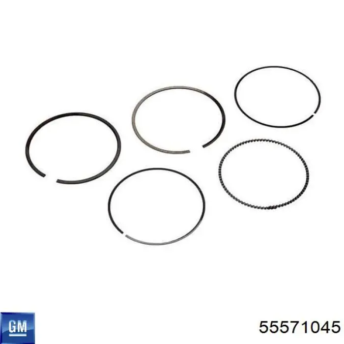 Tłok, komplet do jednego cylindru, STD 55580179 General Motors