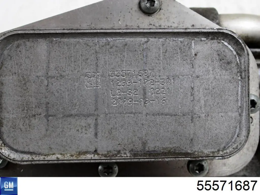 Chłodnica oleju General Motors 55571687 cena, od 38,25 USD