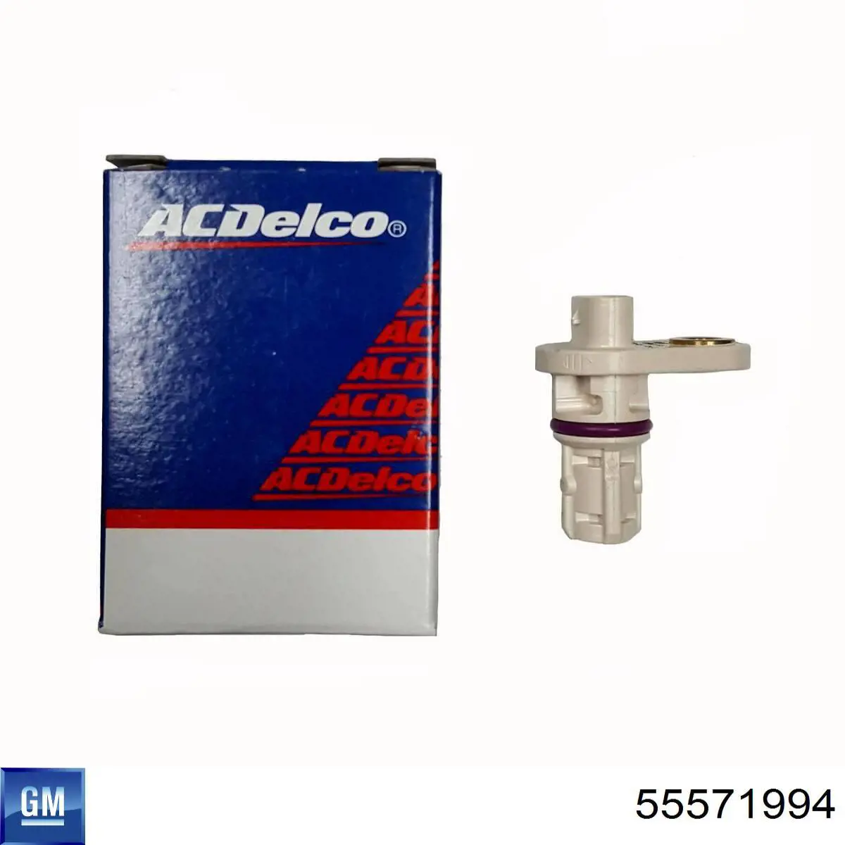  General Motors 55571994