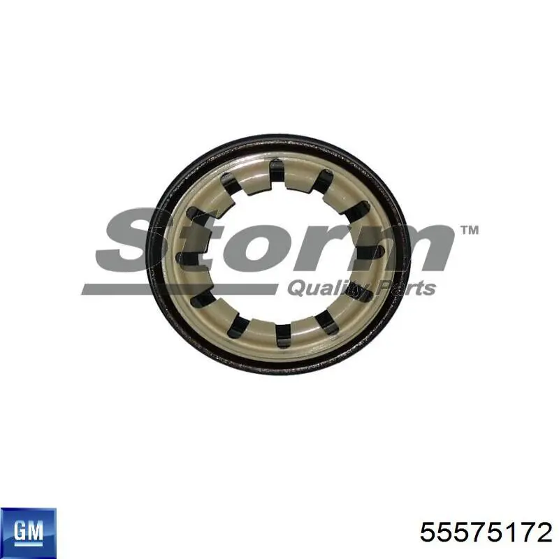 Pierścień uszczelniający wtryskiwacza General Motors 55575172 cena, od 4,38 USD