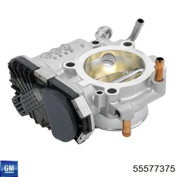 55577375 General Motors Przepustnica, komplet