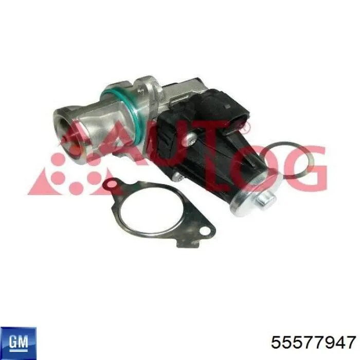 55577947 General Motors Zawór recyrkulacji spalin EGR