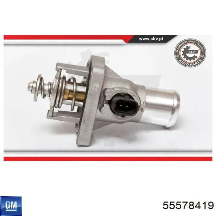 Termostat 55578419 General Motors