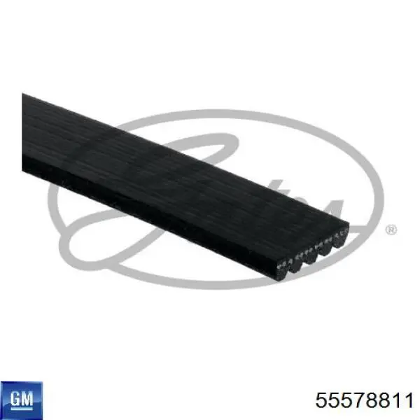 Pas napędowy mechanizmów General Motors 55578811 cena, od 16,34 USD