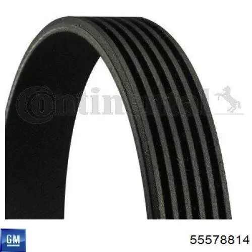 Pas napędowy mechanizmów General Motors 55578814 cena, od 28,83 USD