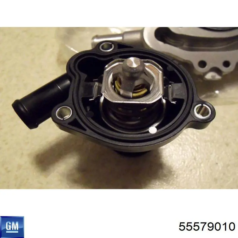 Termostat General Motors 55579010 cena, od 75,71 USD