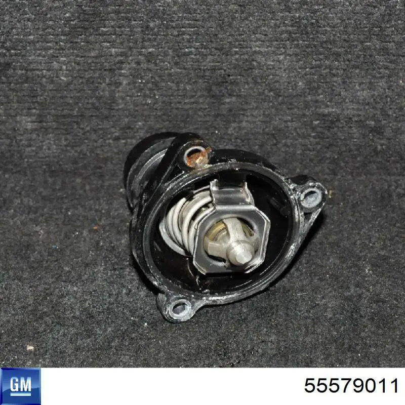 Do koszyka 55579011 General Motors Termostat