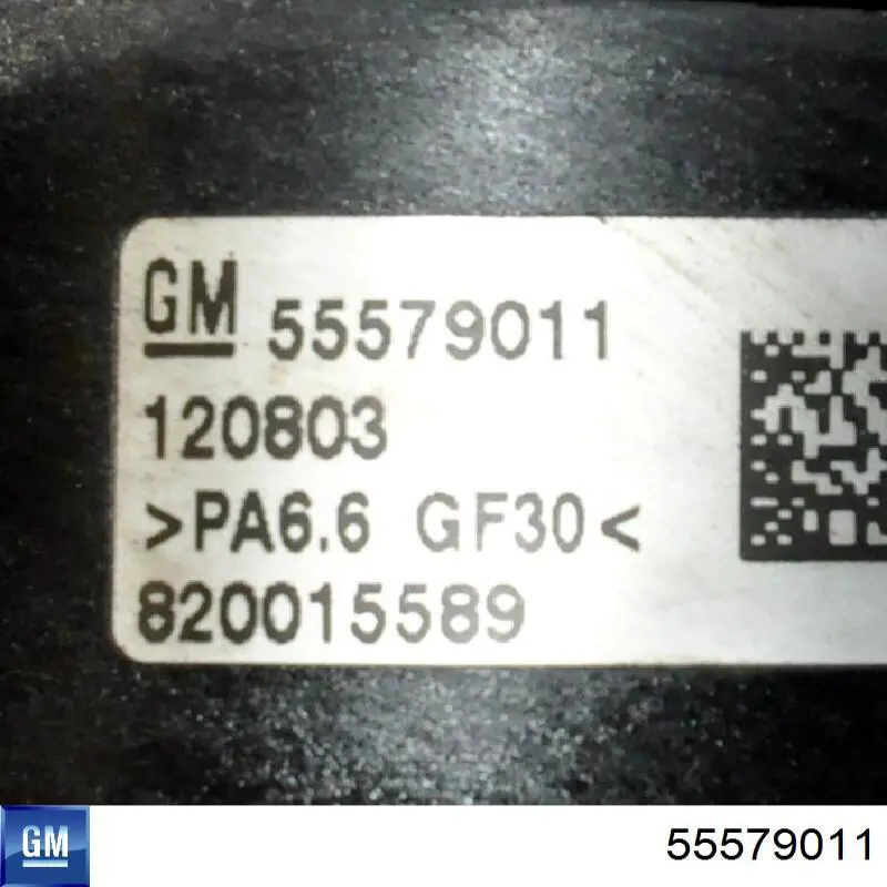 55579011 General Motors Termostat