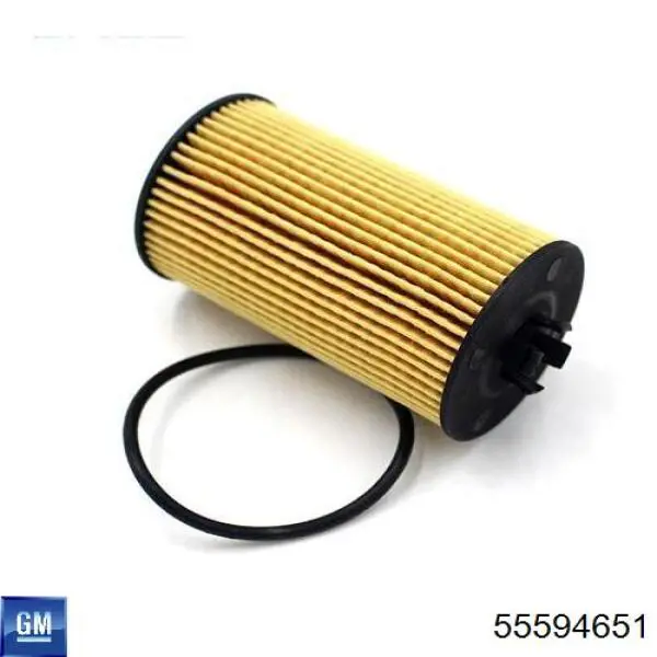 Filtr oleju General Motors 55594651