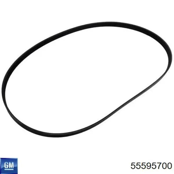 Pas napędowy mechanizmów General Motors 55595700 cena, od 14,68 USD