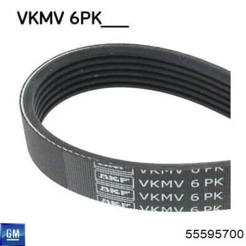 Do koszyka 55595700 General Motors Pas napędowy mechanizmów