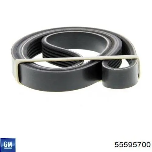 Pas napędowy mechanizmów 55595700 General Motors