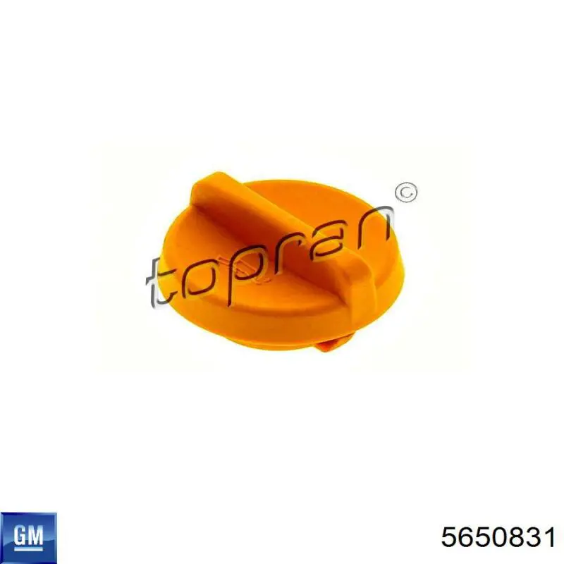 Korek wlewu oleju General Motors 5650831 cena, od 7,05 USD