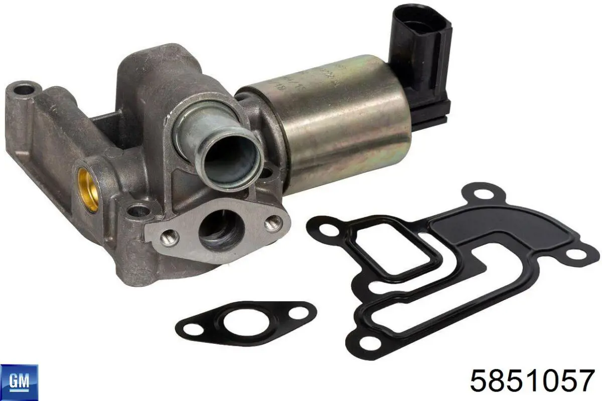 Do koszyka 5851057 General Motors Zawór recyrkulacji spalin EGR