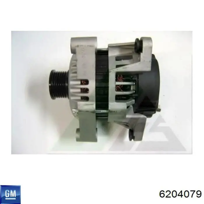 6204079 General Motors alternator