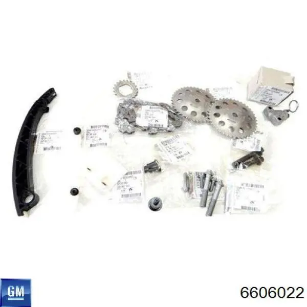 6606022 General Motors Łańcuch rozrządu, zestaw