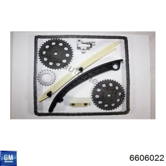 Łańcuch rozrządu, zestaw 6606022 General Motors