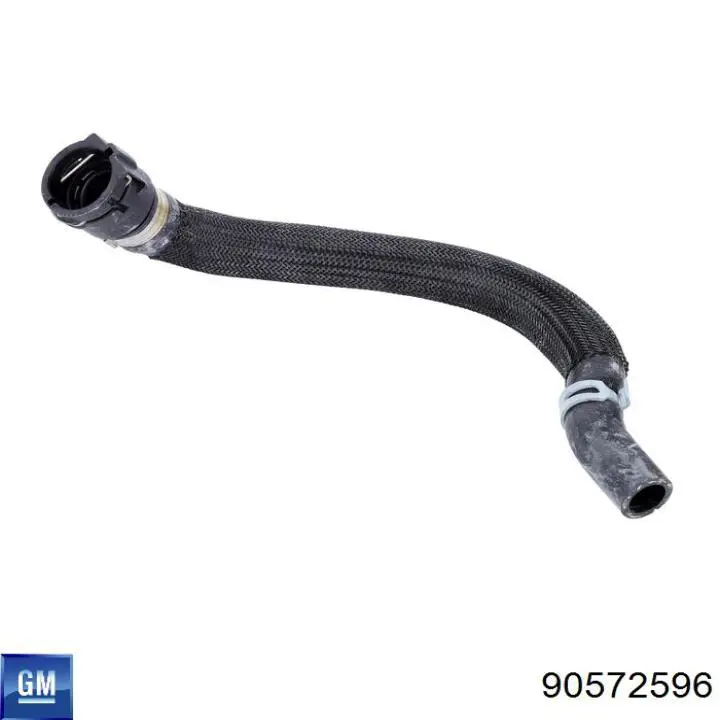 Zacisk sprężynowy General Motors 90572596 cena, od 3,92 USD
