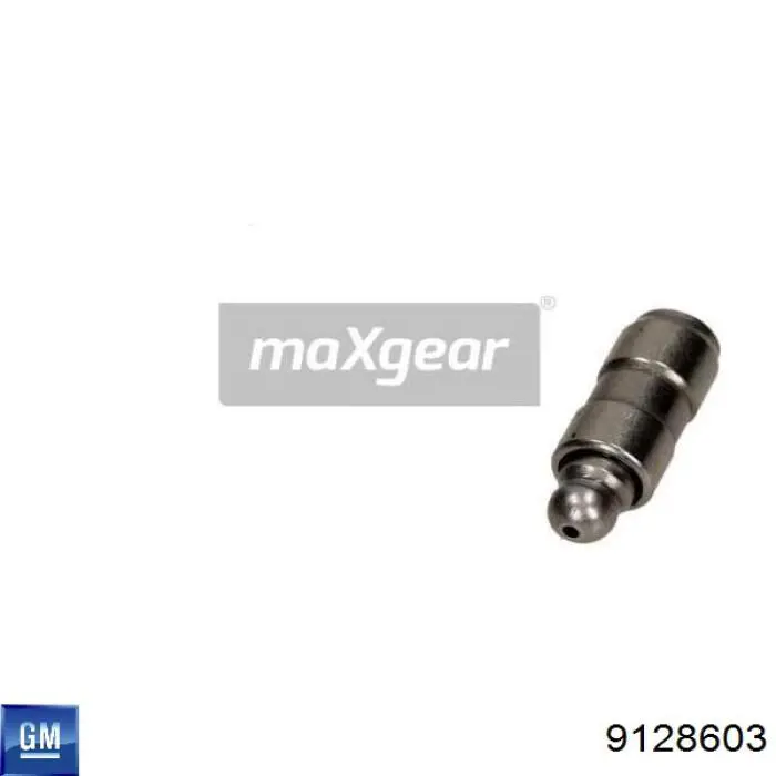 Kompensator hydrauliczny (popychacz hydrauliczny), popychacz zaworu General Motors 9128603 cena, od 9,96 USD