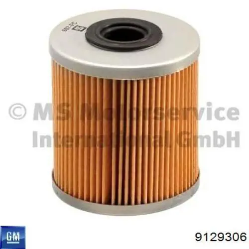 Do koszyka 0818521 General Motors Filtr-sitko pompy paliwowej