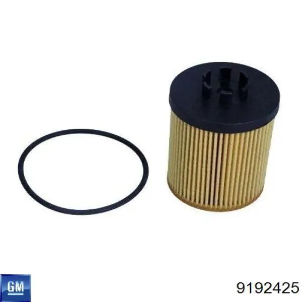 9192425 General Motors Filtr oleju