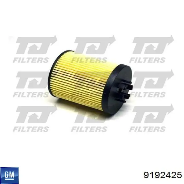 Do koszyka 9192425 General Motors Filtr oleju