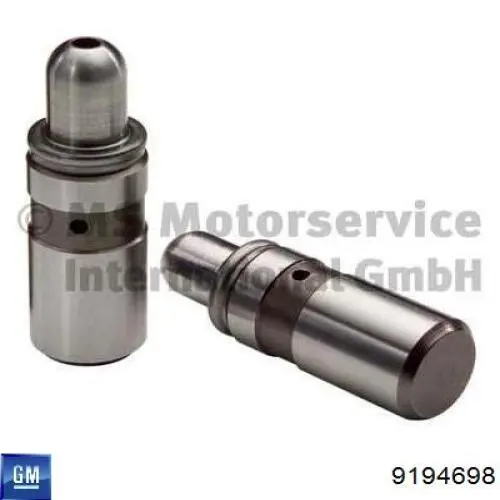 Do koszyka 9194698 General Motors Kompensator hydrauliczny (popychacz hydrauliczny), popychacz zaworu