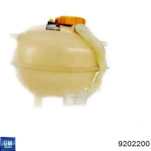 9202200 General Motors Zbiorniczek wyrównawczy układu chłodzenia