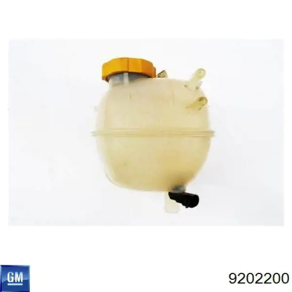 Zbiorniczek wyrównawczy układu chłodzenia General Motors 9202200 cena, od 26,68 USD
