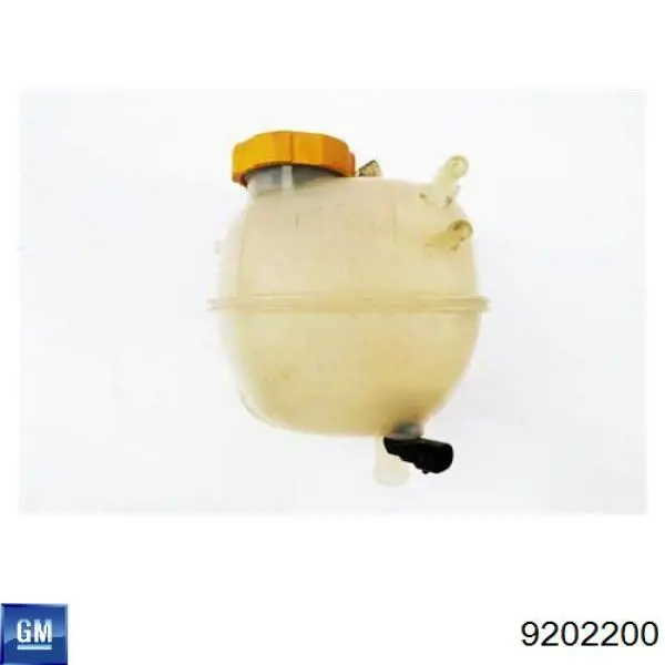 Do koszyka 9202200 General Motors Zbiorniczek wyrównawczy układu chłodzenia