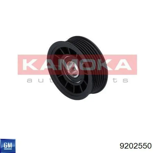 9202550 General Motors Napinacz paska napędowego