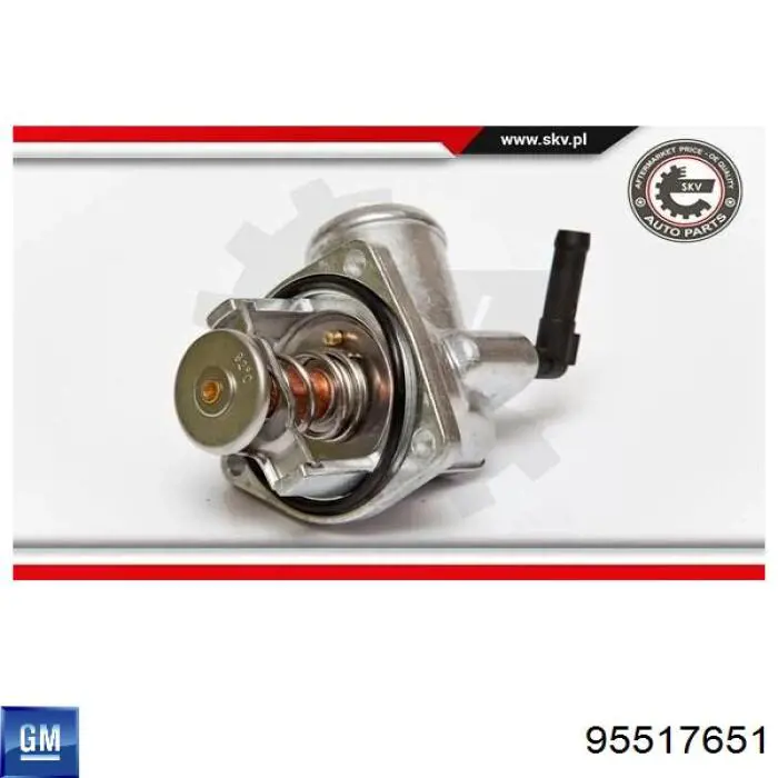 Do koszyka 95517651 General Motors Termostat