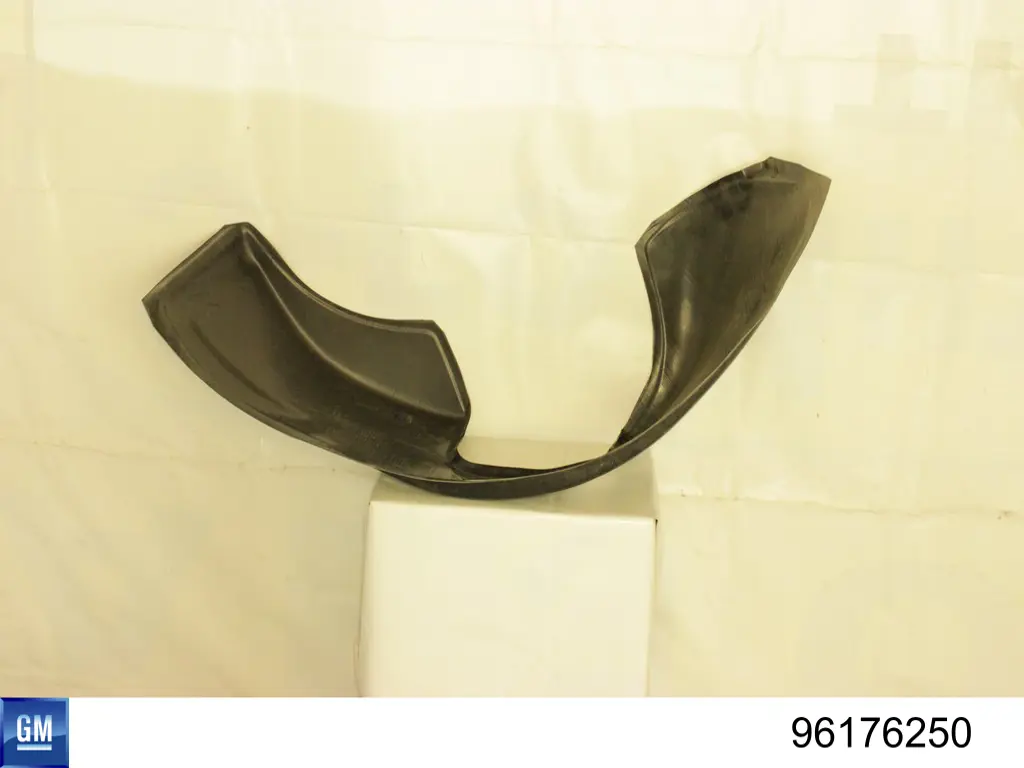 Nadkole błotnika przedniego prawe 96176250 General Motors