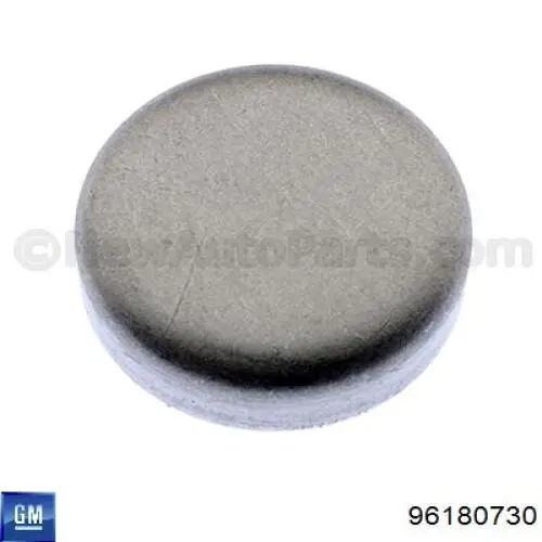Zaślepka głowicy cylindrów/bloku cylindrów General Motors 96180730 cena, od 0,81 USD