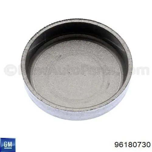 Do koszyka 96180730 General Motors Zaślepka głowicy cylindrów/bloku cylindrów