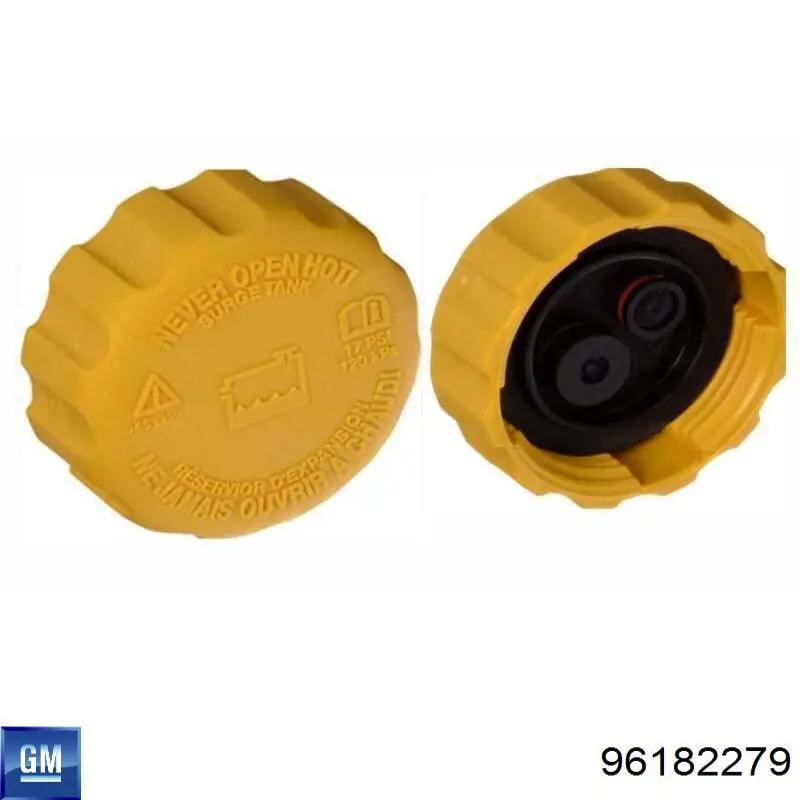 Do koszyka 96182279 General Motors Zbiorniczek wyrównawczy układu chłodzenia