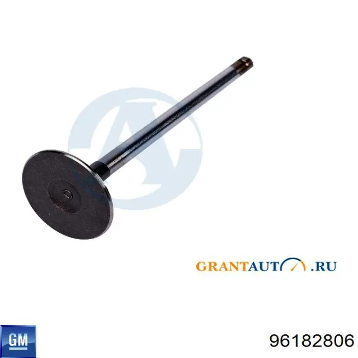 Zawór dolotowy/ssący General Motors 96182806 cena, od 6,15 USD