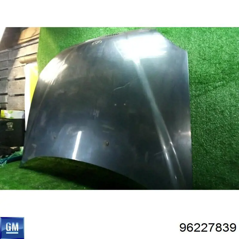 Maska silnika Daewoo Leganza sedana (KLAV) (1997 - 2004) cena, od 314,87 USD