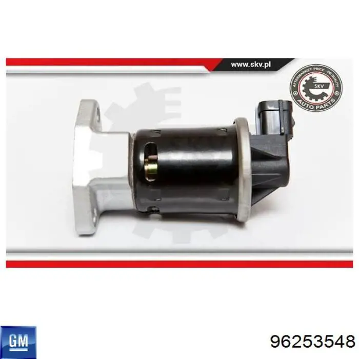 Do koszyka 96253548 General Motors Zawór recyrkulacji spalin EGR