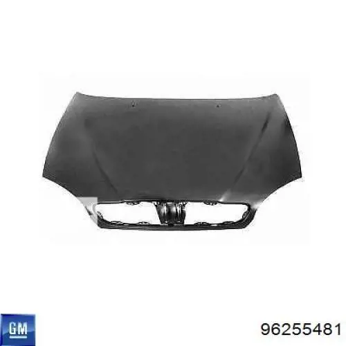 96255481 General Motors Maska silnika