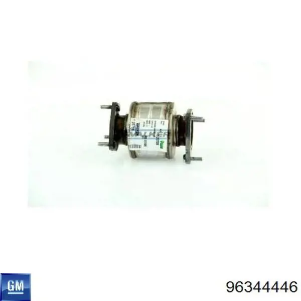 Do koszyka 96344446 General Motors Konwerter-katalizator