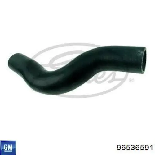 Przewód (króciec) chłodnicy górny General Motors 96536591 cena, od 9,51 USD