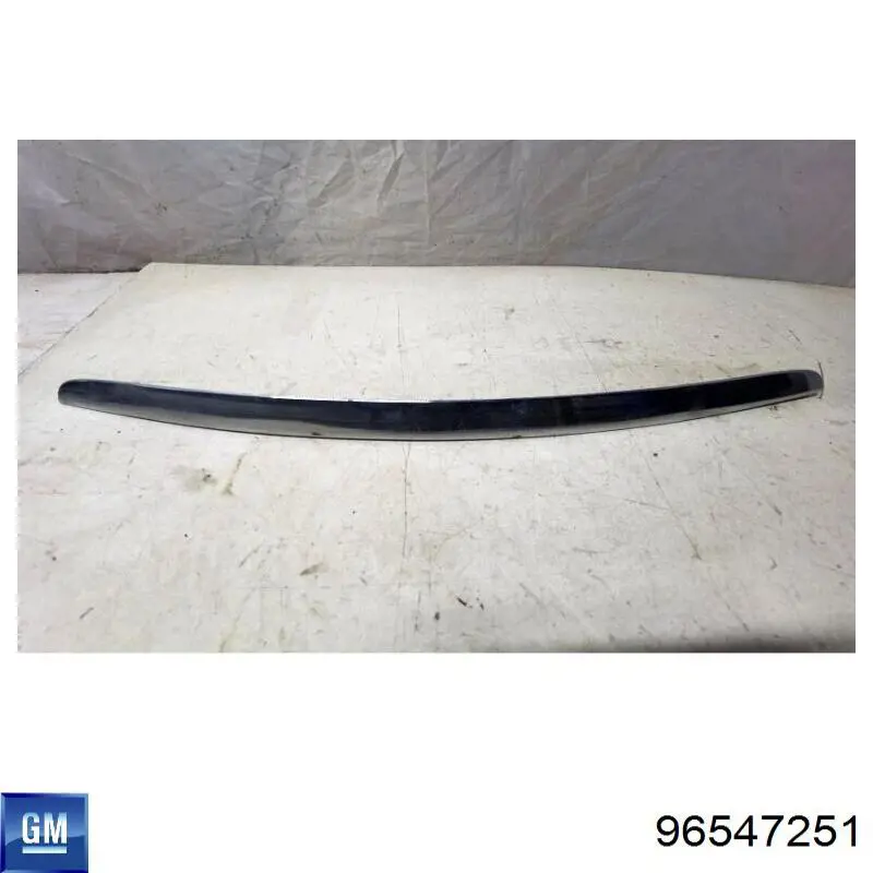 Listwa ochronna maski 0160111920 Tempest