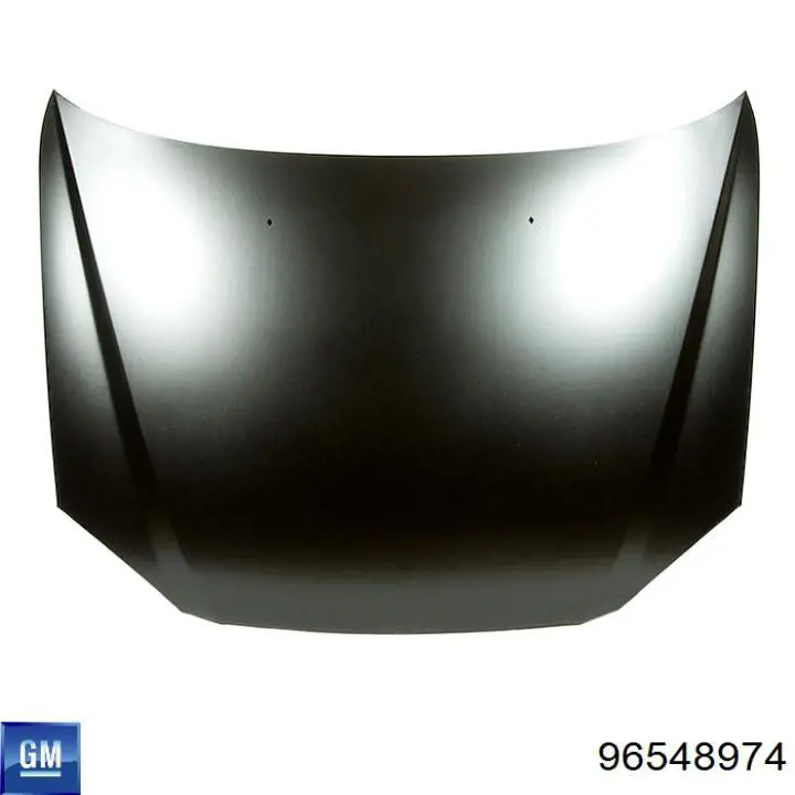 96548974 General Motors Maska silnika