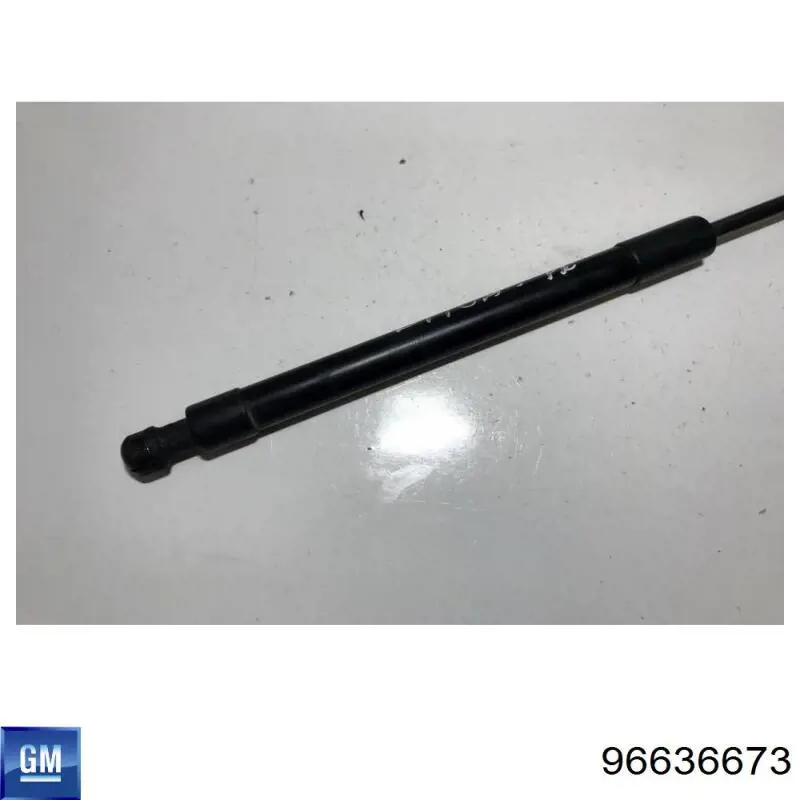 96636673 General Motors Amortyzator maski