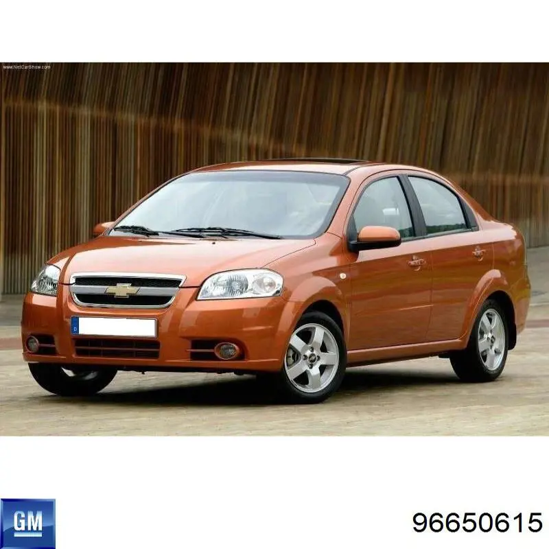 Do koszyka 96650615 General Motors Lampa zespolona tylna prawa
